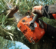 Chainsaws