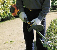 Hedge Trimmers