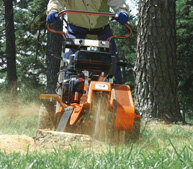 Stump Grinders
